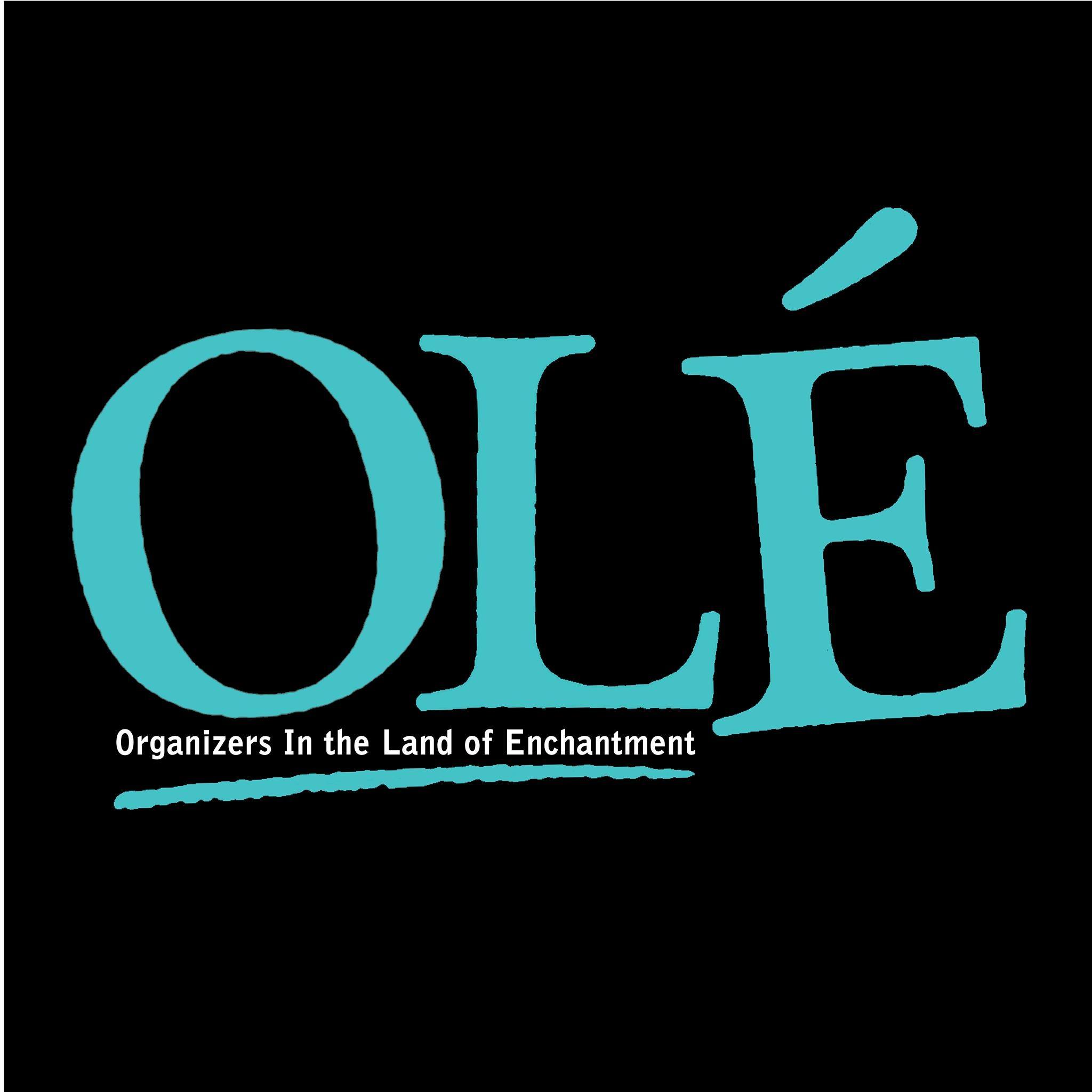 Organizers In the Land of Enchantment logo